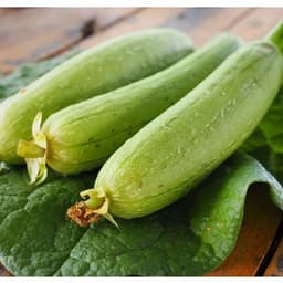 Hạt giống mướp hương thái lan 3