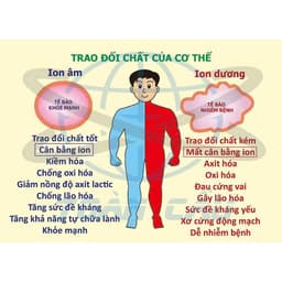 Bộ tạo ion âm công suất cao 10 râu 100 triệu ion khử khói khử mùi (phích cắm + dây 1m2) 7