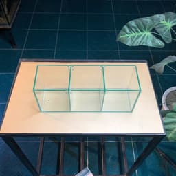 Bể Cá Betta Kích Thước 30x10x12cm Được Chia 3 Ngăn Tách Biệt | Kính Việt Nhật Dày 4mm | RF Aquarium 4