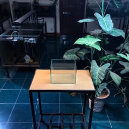 Bể Cá Mini Kích Thước 20x15x15cm Dùng Nuôi Cá Betta Dán Dấu Keo Mài Vi Tính | RF Aquarium 3