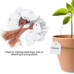 Bộ 100 thẻ tên đánh dấu cây chống nước 2