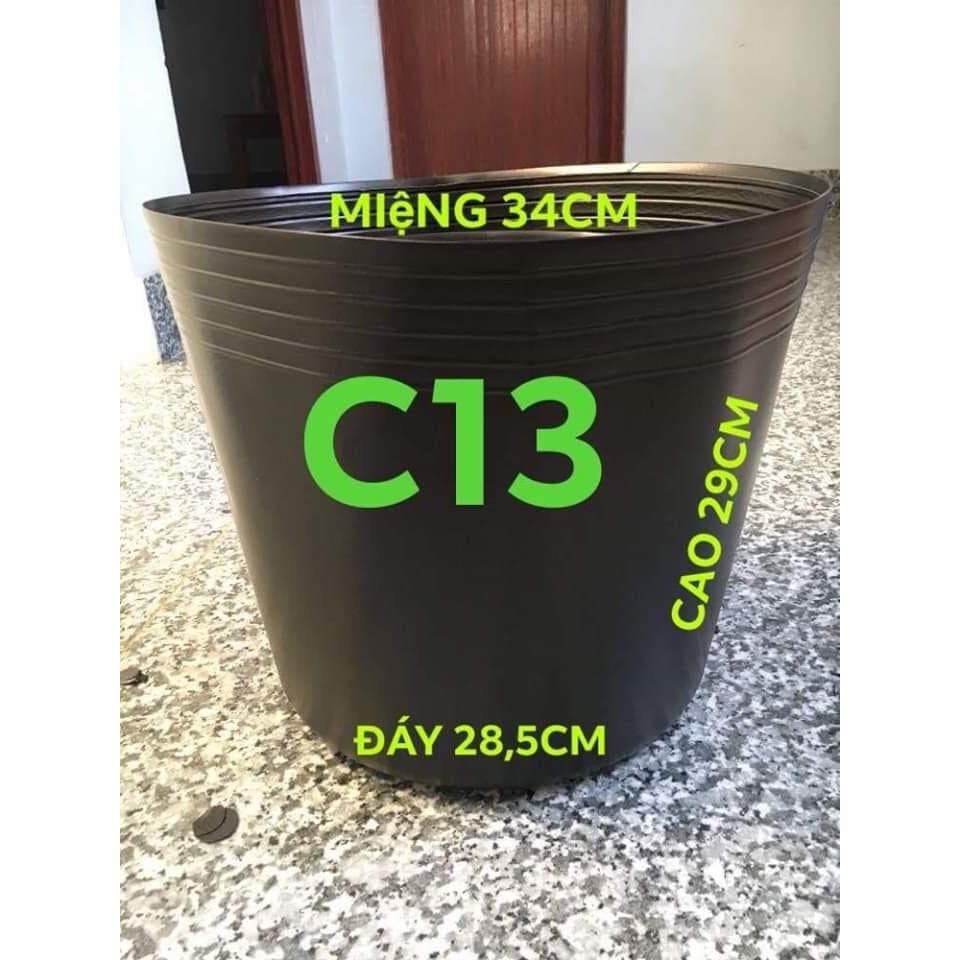 [Combo 10 cái] chậu nhựa đen C13 mềm dẻo KT: 34x29x28.5cm