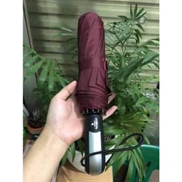 Ô dù hai chiều tự động hàng xuất Nhật - nhiều màu - loại 10 nan cao cấp 3