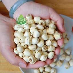 ✅[HÀNG LOẠI 1] Hạt Sen Khô 100gr Thơm Ngon Bùi Vị Ngọt Thanh Tại Siêu Thị Thảo Mộc 5