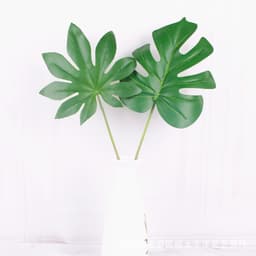 Lá cây chụp ảnh sản phẩm chuyên nghiệp ( Lá cây nhựa loại xịn ) 2