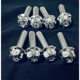 Ốc inox SALAYA size 8li15/8li25/8li30/8li40/8li60 ĐẦU TRỤ BÔNG cực sáng đẹp gắn dàn chân xe máy 8