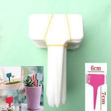Gói thẻ tên - Tag cắm chậu cây mix 5 màu ngẫu nhiên - thegioiraumam 3