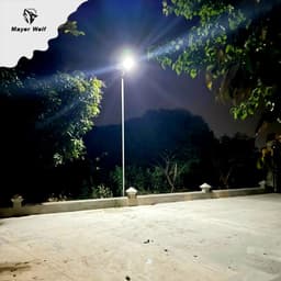 Đèn lá năng lượng mặt trời Mayor Wolf 50w,100w 5