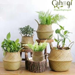 Giỏ cói trồng cây, đựng quần áo/decor tự nhiên kính phi 35cm 4