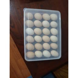 Combo sỉ Hộp đựng 24 quả trứng - Song Long 3