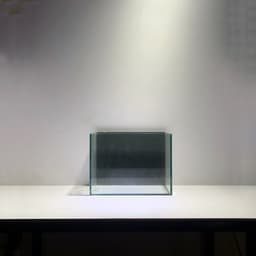 Hồ Show Cá 20x9x15cm Mặt Sau Dán Decan Đen 2