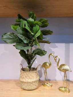 Giỏ cói trồng cây, đựng quần áo/decor tự nhiên kính phi 35cm 3