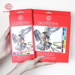 Bút chì màu Queen 12/24 Màu - CPT12/24 (Chì màu gốc dầu, tô chồng lớp tốt) 2