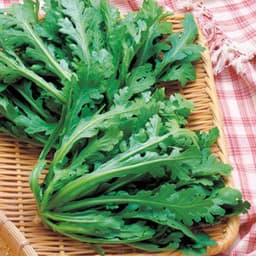 Gói 20g hạt giống tần ô Garland lá tròn 3