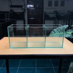 Bể Cá Betta Kích Thước 30x10x12cm Được Chia 3 Ngăn Tách Biệt | Kính Việt Nhật Dày 4mm | RF Aquarium 5