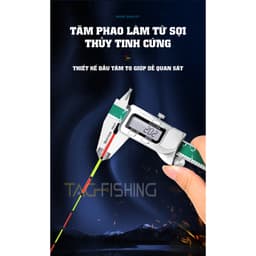 Phao Guide Săn Hàng Ngày (Thân Cỏ ) 9