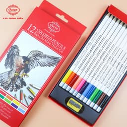Bút chì màu Queen 12/24 Màu - CPT12/24 (Chì màu gốc dầu, tô chồng lớp tốt) 3