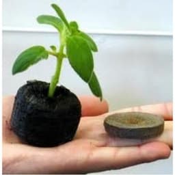 100 VIÊN NÉN ƯƠM HẠT 3