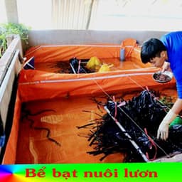 Bể Bạt Nuôi Cá, Tôm, Lươn, Ếch ... Bể Bạt Việt Hàn Tuổi Thọ Trên 3 Năm, Chất Liệu Tốt Dễ Dàng Sử Dụng 5