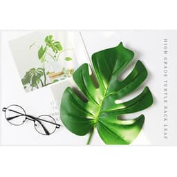 Lá cây chụp ảnh sản phẩm chuyên nghiệp ( Lá cây nhựa loại xịn ) 6