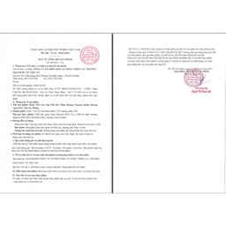 11 Hộp Yến Sào Thiên Hoàng Yummy Kiddy 20% Hương dâu + Tặng 6 Lon Yến 5