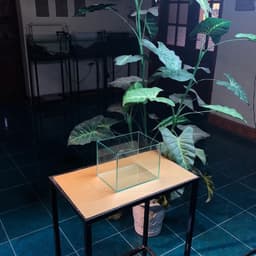 Bể Cá Mini Kích Thước 20x15x15cm Dùng Nuôi Cá Betta Dán Dấu Keo Mài Vi Tính | RF Aquarium 8