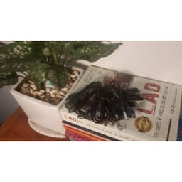 Dây sạc cổng hình thang (chuyên dùng cho đài craven cr853, cr836s) 3