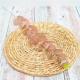 Lá cây bạch đàn Eucalyptus decor trang trí nhà cửa , phụ kiện chụp ảnh 2