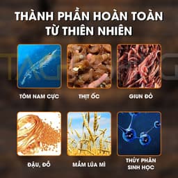 Lão quỷ tổng hợp diếc chép 250g 2