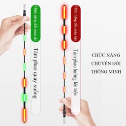 Phao Tiểu Phượng Hoàng Săn Hàng Ngày Đêm 3