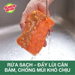 Miếng rửa chén hạt nổi không trầy xước Scotch Brite 3M đa năng, mút kháng khuẩn, không bám cặn màu cam/xanh 5