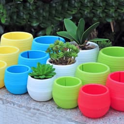 Chậu cây mini nhiều màu sắc dùng trang trí văn phòng-màu ngẫu nhiên 3