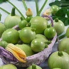 Gói 4 hạt giống bí ngòi banh xanh sáng F1 3