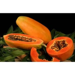 Gói 5 hạt giống đu đủ F1 ruột đỏ hồng phi 2