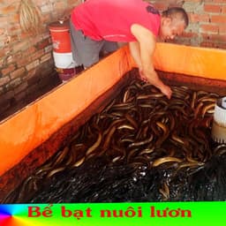 Bể Bạt Nuôi Cá, Tôm, Lươn, Ếch ... Bể Bạt Việt Hàn Tuổi Thọ Trên 3 Năm, Chất Liệu Tốt Dễ Dàng Sử Dụng 3