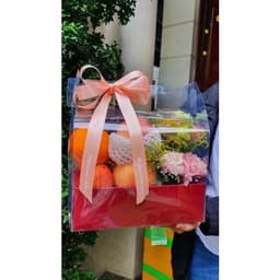 Khay Túi Đựng Trái Cây, Giỏ Quà Tặng Sang Trọng 2
