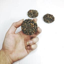 Giá thể ươm bucep, ráy, dương xỉ thủy sinh nhiều kích thước 2