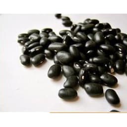 Gói 20gr hạt giống đậu đũa hạt đen dạng leo - thegioiraumam 3