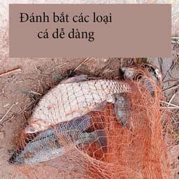 Chài Dù Bắt Cá Cao Cấp Mắt 2.4cm và 3.5cm Bung 5M-6M-8M Nặng 2.5kg - 3kg - 4kg - 5Kg 3