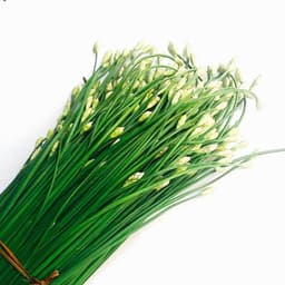 Gói 1g hạt giống hẹ ăn bông 1