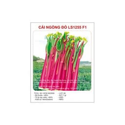 Gói 5gr hạt giống rau cải ngồng đỏ (tím) 3