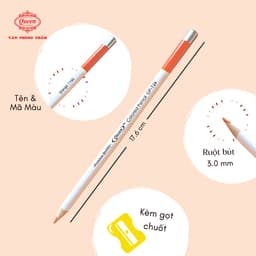 Bút chì màu Queen 12/24 Màu - CPT12/24 (Chì màu gốc dầu, tô chồng lớp tốt) 5
