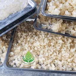 ✅[HÀNG LOẠI 1] Mủ Trôm 100gr Thượng Hạng Hàng Chất Lượng Thanh Nhiệt Giải Độc và Làm Đẹp Da 5