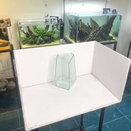 (Update Bản Sillicon Đen) Bể Terrarium Đa Giác Trang Trí Bàn Làm Việc 12x12x25cm 2