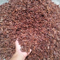 Vỏ thông đỏ xay vụn - Giá thể trồng lan chuyên dụng hàng đẹp 2