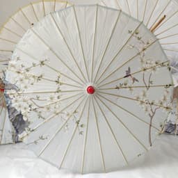 Ô dù cổ trang Thần Quang Thời Ảnh Ngọc cốt dao Tiêu Chiến xinh xắn cosplay độc đáo 6