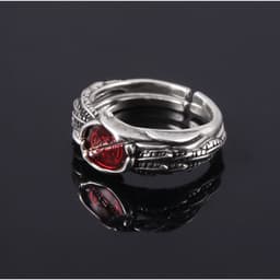 Vòng Cổ Đôi Kamen Rider OOO Ankh Broken Taka Core Medal Anime Cosplay Couple 5