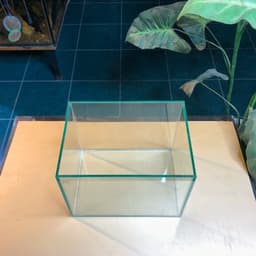 Bể Cá Mini Kích Thước 20x15x15cm Dùng Nuôi Cá Betta Dán Dấu Keo Mài Vi Tính | RF Aquarium 5