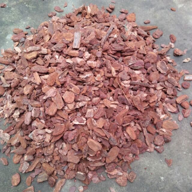 Vỏ thông đỏ xay vụn - Giá thể trồng lan chuyên dụng hàng đẹp