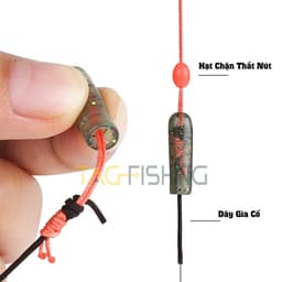 Trục Sẵn Săn Hàng Vua Câu Long Thần 4